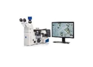 Image Analysis System